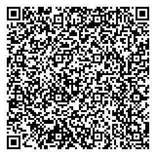 vCard 79103400131