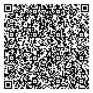 vCard 79103400141