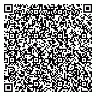 vCard 79103400163
