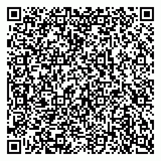 vCard 79103400205
