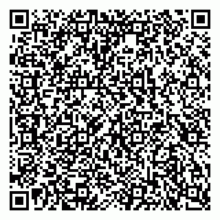 vCard 79103400207