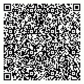 vCard 79103400209