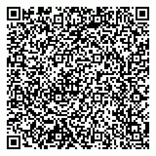vCard 79103400211