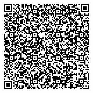 vCard 79103400213