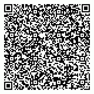 vCard 79103400215