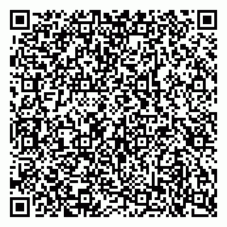 vCard 79103400219