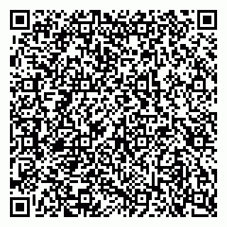 vCard 79103400221