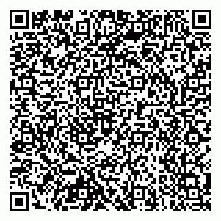 vCard 79103400225