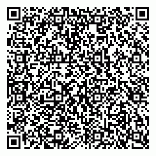 vCard 79103400233