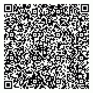 vCard 79103400238