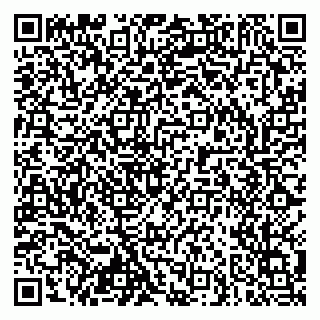 vCard 79103400239