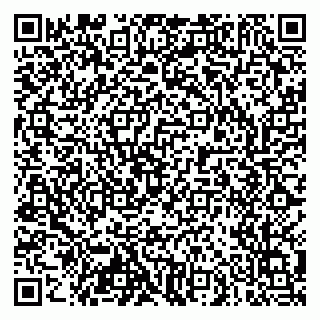 vCard 79103400253