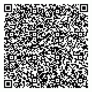 vCard 79103400255
