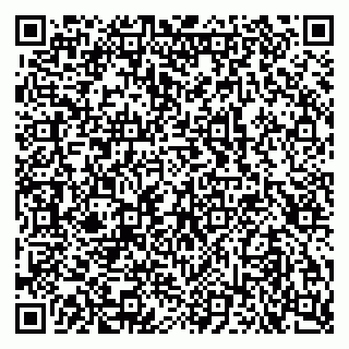 vCard 79103400261