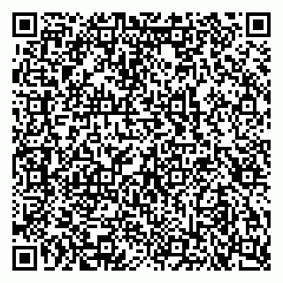 vCard 79103400263