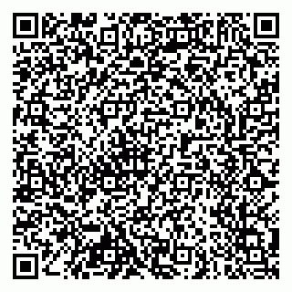 vCard 79103400265