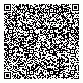 vCard 79103400270
