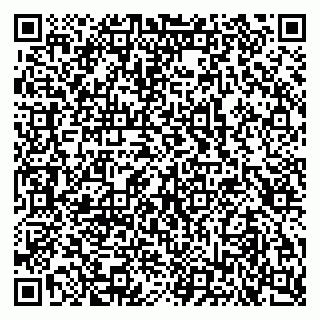 vCard 79103400271