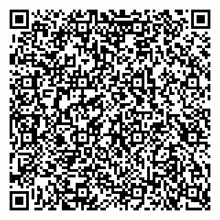 vCard 79103400273