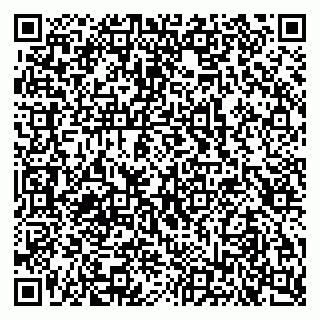 vCard 79103400274