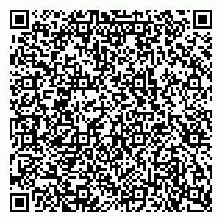 vCard 79103400275