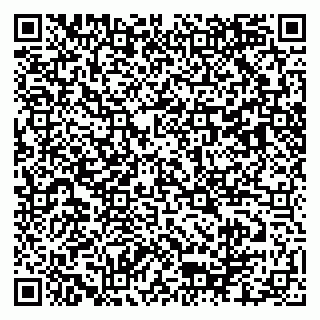 vCard 79103400278