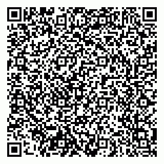 vCard 79103400281