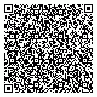 vCard 79103400287