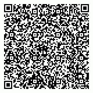 vCard 79103400290