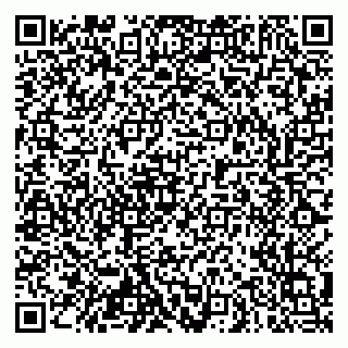 vCard 79103400291