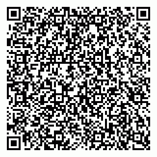 vCard 79103400294
