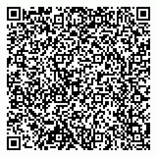 vCard 79103400295