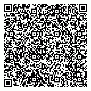 vCard 79103400297