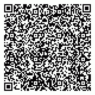 vCard 79103400299
