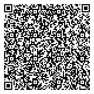 vCard 79103400300