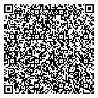 vCard 79103400301