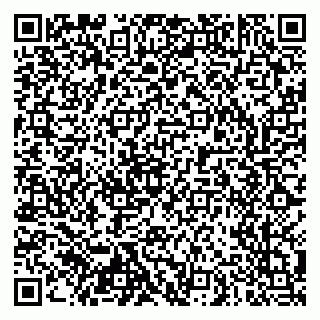 vCard 79103400305