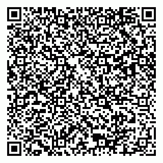 vCard 79103400308