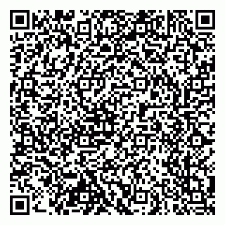 vCard 79103400310