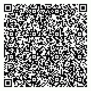 vCard 79103400311
