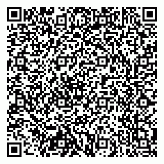 vCard 79103400313