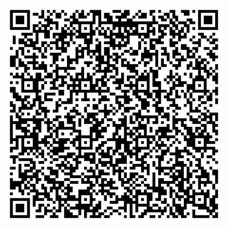vCard 79103400315