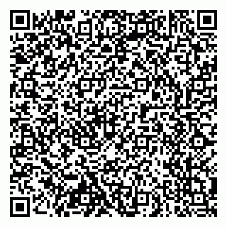 vCard 79103400317