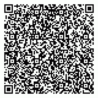 vCard 79103400318