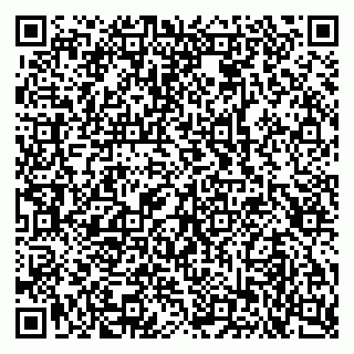 vCard 79103400319