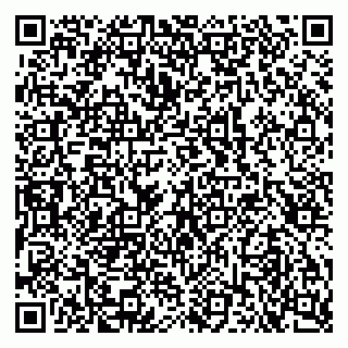 vCard 79103400321