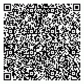 vCard 79103400326