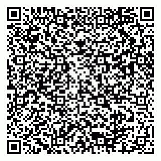vCard 79103400328