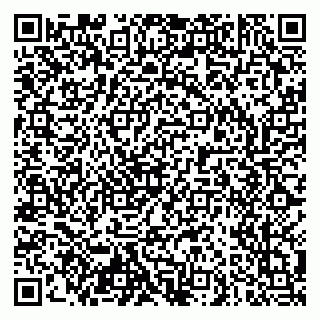 vCard 79103400329