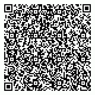 vCard 79103400331